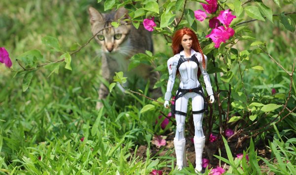 Мифы становятся реальностью, когда они касаются Барби