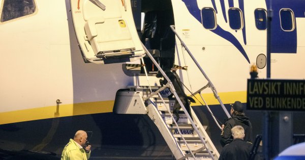 Суд ЕС постановил: собака, потерянная авиакомпанией, все равно, что потерянный багаж