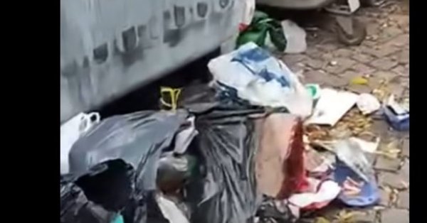 Терзиев: Зло ходит по улицам «Люлина» и «Красно села» и разрезает мешки с мусором