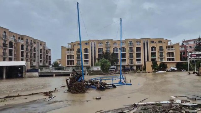 Трагедия и ущерб оленям: какие меры будут приняты?