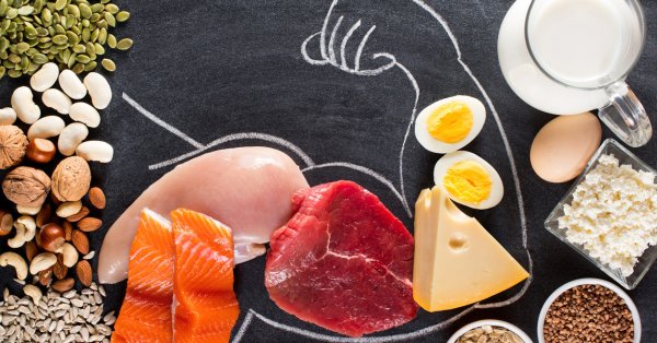 5 рецептов белковых блюд