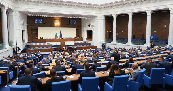 Депутатов оскорбили «янычары», Киселова дала 15-минутный перерыв