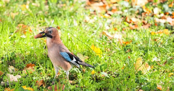 Завтра температура повысится, но утром в некоторых местах будет ниже нуля.
