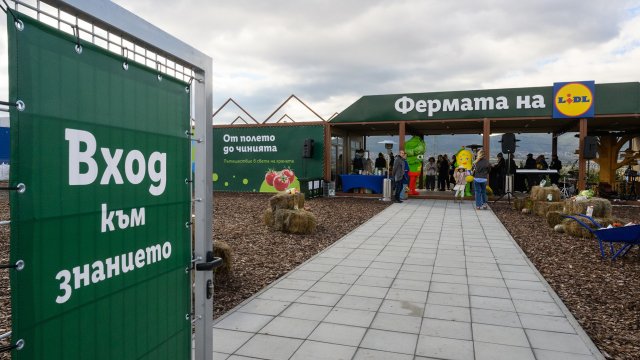 «Лидл» учит детей здоровому питанию с помощью образовательного сада нового поколения