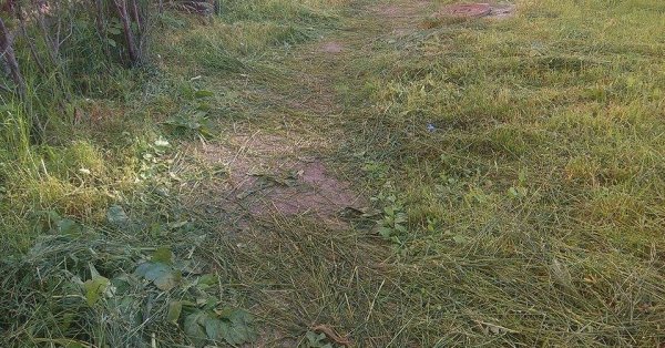 По справочнику: отсутствие уличного освещения и джунглей в Софии