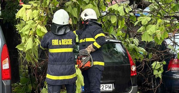 Падшие деревья от сильного дождя в Пловдиве и Варне, затопленные улицы в Бургасе