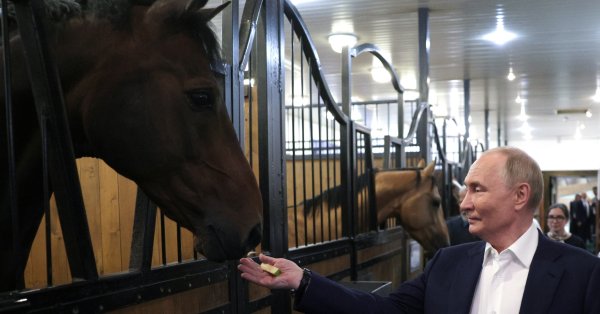 Почему Россия возродила конную конницу на поле боя в эпоху военных дронов? Видео