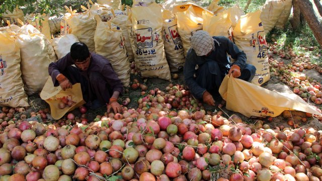 Кадр дня на 4 октября