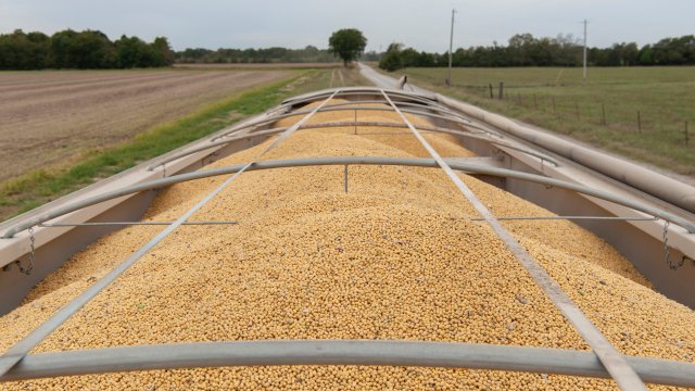 Китай отложит введение правил по редкоземельным элементам и возобновит закупки сои в США