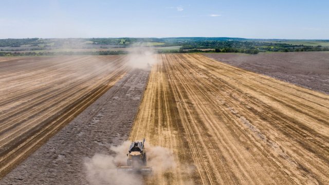 Мировые цены на пшеницу за неделю упали