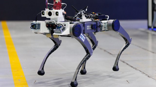 ИИ, долголетие, летающие машины, роботы – куда наиболее перспективны инвестиции?