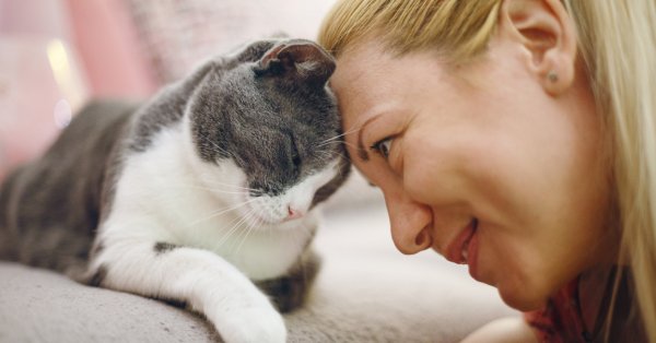 Знаки, которые имеют особую связь с животными