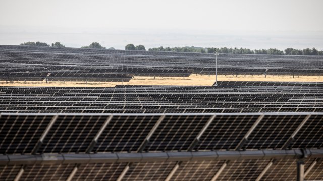 Крупнейший фотоэлектрический парк в Румынии вступил в строй