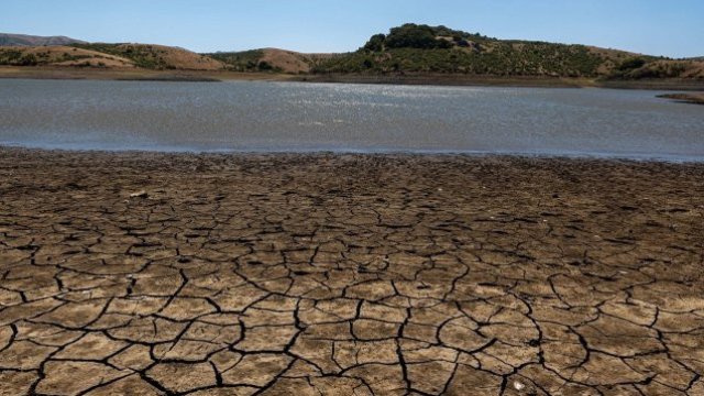 Почему Билл Гейтс считает, что человечество не погибнет от изменения климата