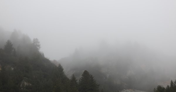 Погода сегодня: солнечно, но утром местами туманно