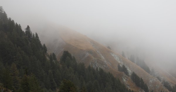 В Пирине нашли мужчину, объявленного мертвым несколько лет назад