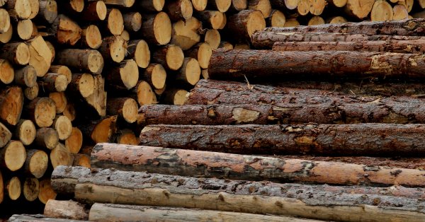 Сколько будет стоить нам отопление этой зимой?