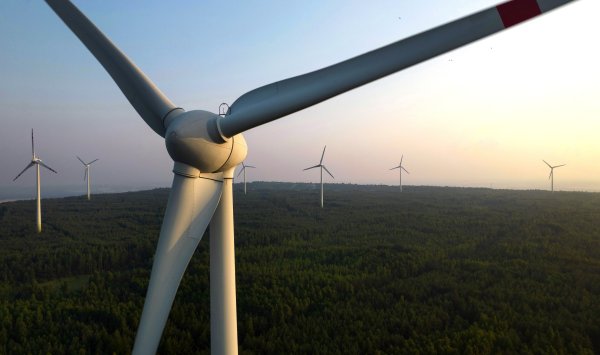 Инвесторы в «зеленые» акции демонстрируют огромную прибыль, несмотря на нападки Трампа