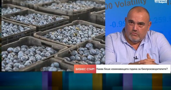 Площади органического сельского хозяйства в Болгарии растут, рабочих рук не хватает