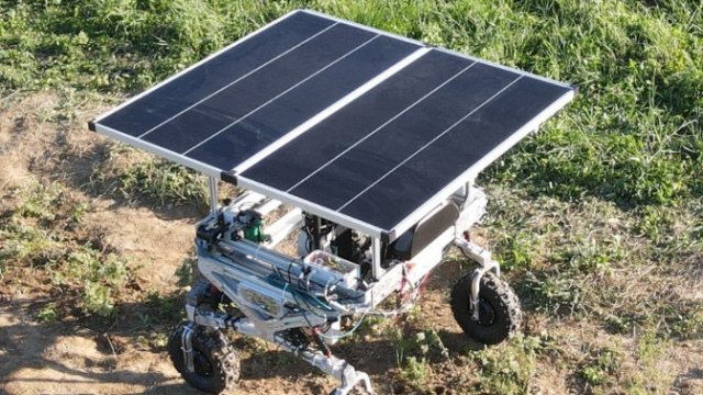 Соответствуют ли болгарские сельскохозяйственные технологии уровню?