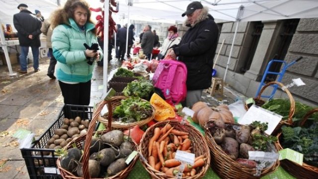 С. Апостолов: Органическое сельское хозяйство пострадает от повышения страховых взносов