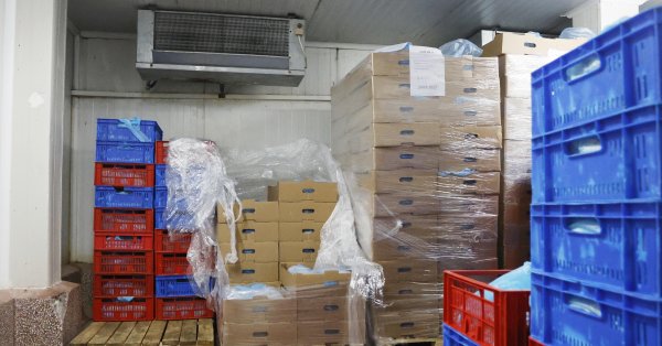 BABH опечатала незарегистрированный объект на бирже Слатины, где хранилось 9 тонн мяса