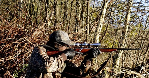 В Русенско стреляют по домашним собакам