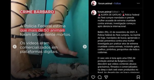 По сигналу BG в Бразилии: Неработающий канал для видео с насилием над детьми и животными