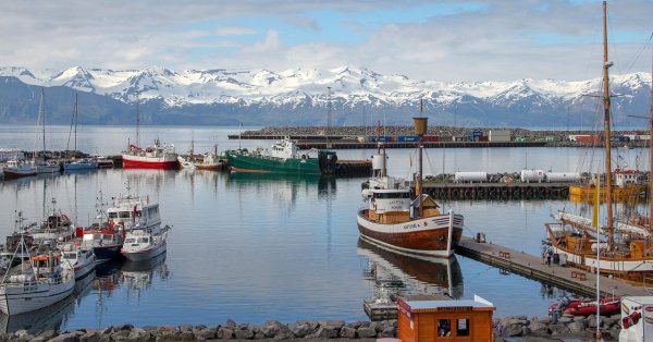 150 лет спустя «Стражи Исландии» настаивают: нам нужна армия!