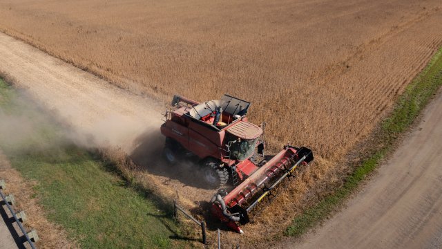 Болгария входит в число стран ЕС с самым большим падением стоимости сельскохозяйственной продукции