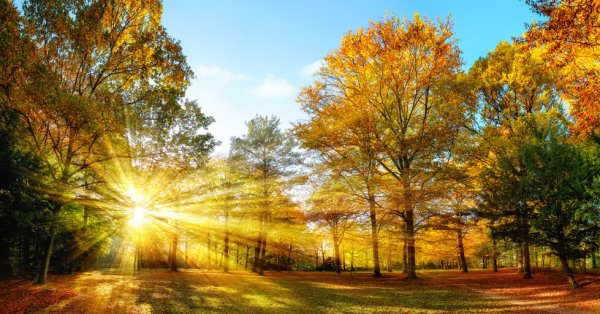 Сегодня солнечно и тихо, идеально для прогулки