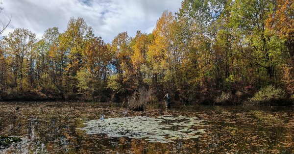 Хорошие солнечные дни подходят к концу, со вторника наступит пасмурная погода