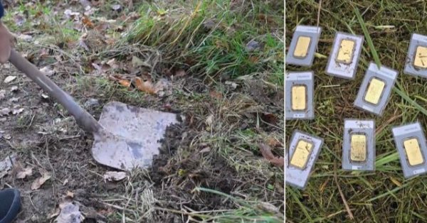Мужчина нашел золотые слитки, пока косил газон у себя во дворе