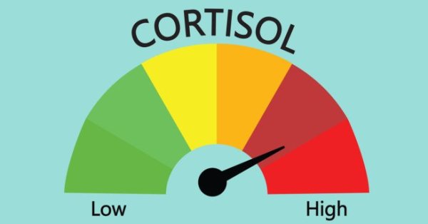 Быстрые трюки для снижения кортизола