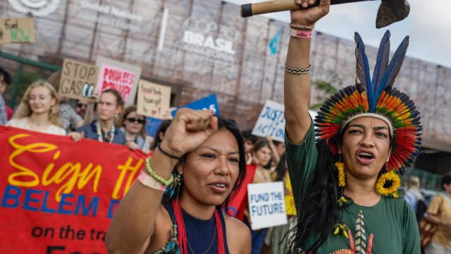 Кадр дня 19 ноября.