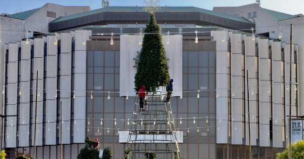 Перед NDK ФОТО появилась огромная новогодняя елка