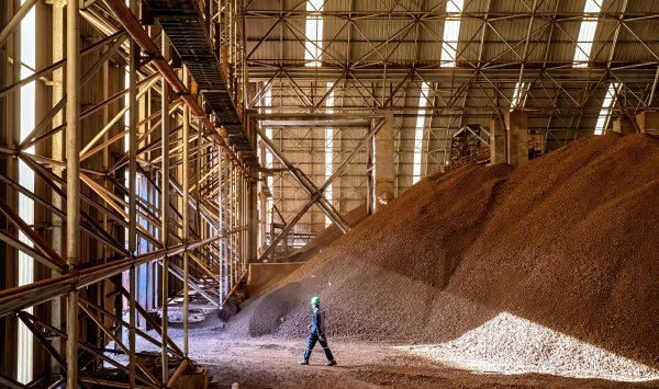 Преслав Райков: Переизбыток железа неизбежен, российская нефть не остановится