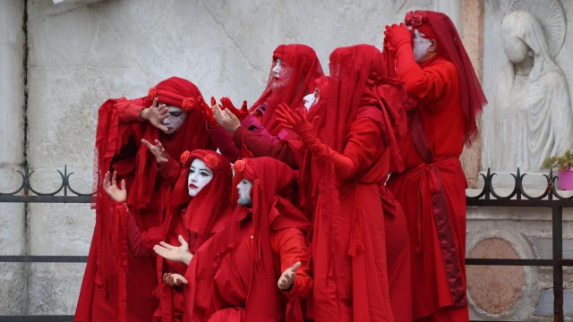 Кадр дня 22 ноября.