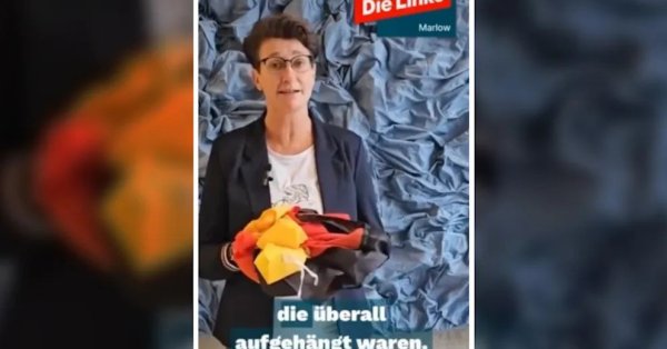 Новый Свет: Левый депутат снимает немецкие флаги с домов, пропагандирующих фашизм