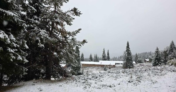 Снежное Рождество в Северной Болгарии и на дорогах, в других местах пойдет дождь