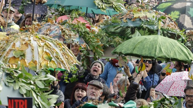 Кадр дня 14 декабря.