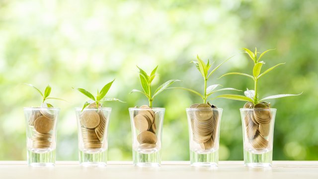 Частное пенсионное страхование готовится к восстановлению