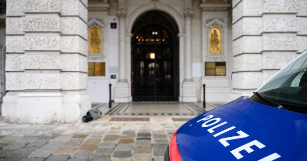 Детский день рождения в Вене закончился ранениями семи полицейских