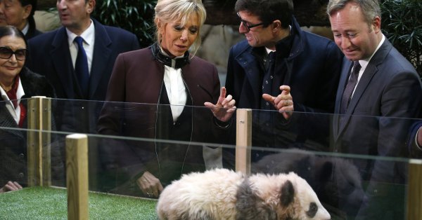 В Китае: Брижит Макрон посетила гигантскую панду, родившуюся во Франции