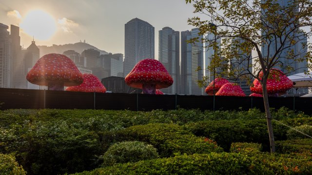 Кадр дня 8 декабря.