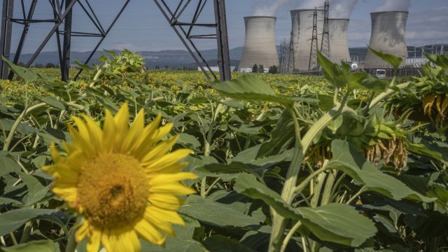 Польша ожидает, что цена на электроэнергию с ее первой атомной электростанции достигнет 118 евро за мегаватт-час.