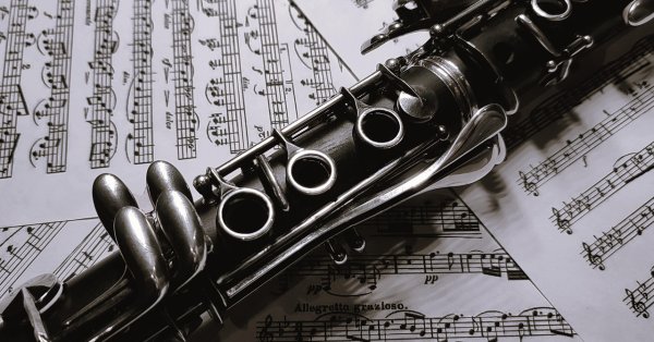 ИИ тоже ошибается: он принял кларнет за пистолет и взорвал школу