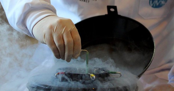 В Греции семья с тремя детьми от одного и того же датского донора потеряла одного ребенка из-за рака.