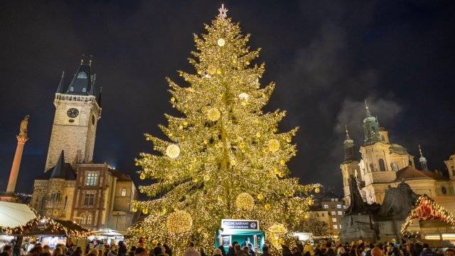 Кадр дня 1 декабря.