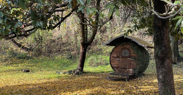 Во вторник нас ждет утренний туман, погода днем ​​– тихая и приятная.